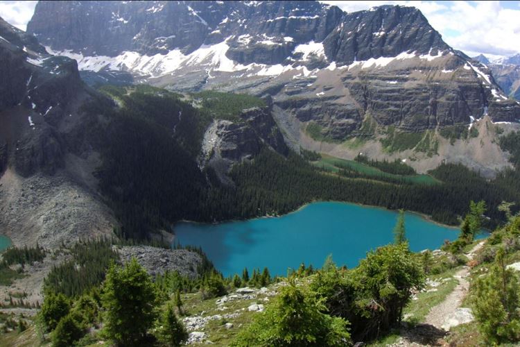 Canada Brit Col: Yoho, Lake O'Hara, Lake O'Hara on Wiwaxy Gap trail, Walkopedia